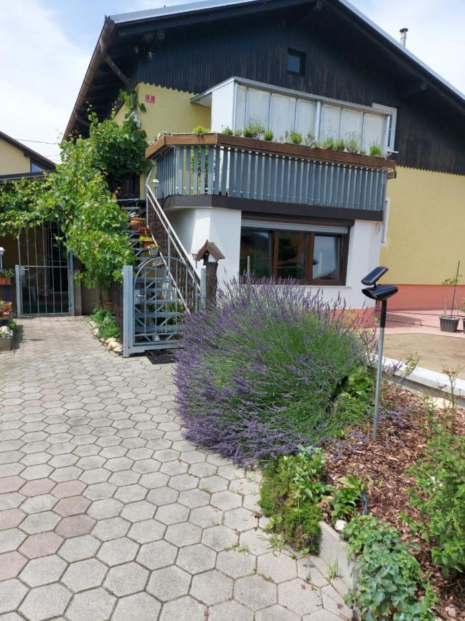 Apartma Reich Apartamento Ptuj Exterior foto